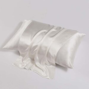 22 Momme 100% Mulberry Silk Pillowcase