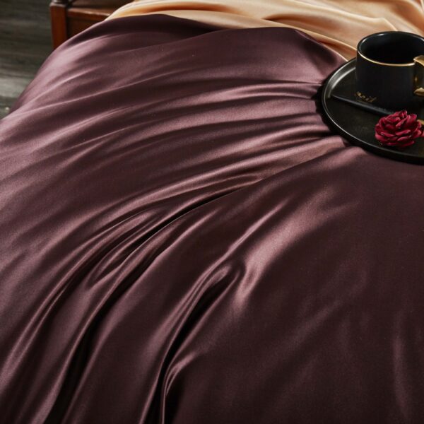 Mulberry 25 Momme 4PCs Silk Sheet Set - Image 5